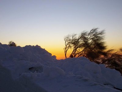 100_0154.JPG