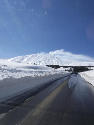100_0206.JPG