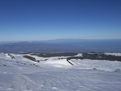 100_0236.JPG