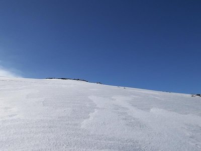 100_0237.JPG