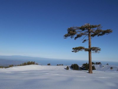100_0250.JPG