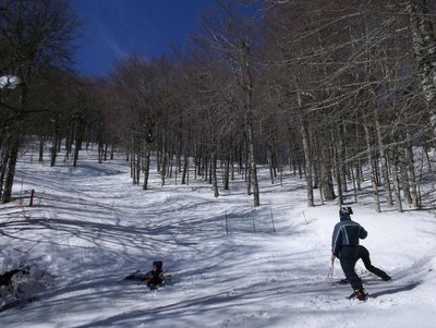 100_0304.JPG