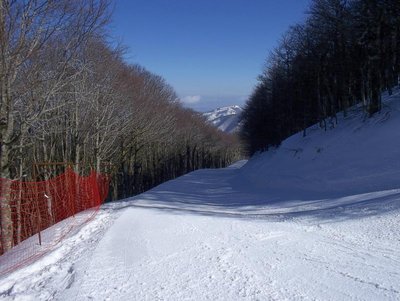 100_0309.JPG