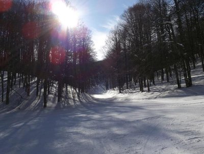 100_0275.JPG