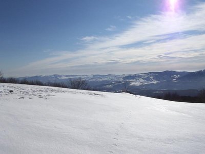 100_0281.JPG