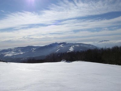 100_0282.JPG