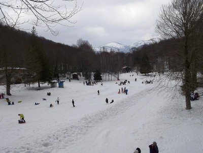 100_0341.JPG