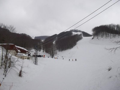 100_0351.JPG