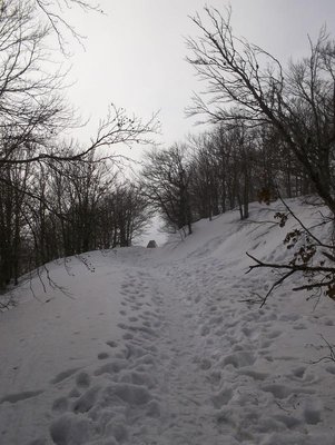 100_0364.JPG