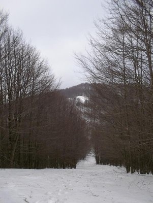100_0371.JPG