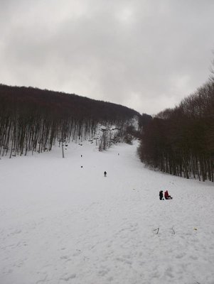100_0377.JPG