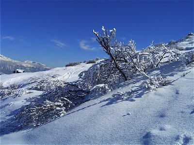 Obersaxen_10.jpg