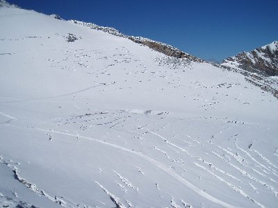 Hintertuxer-Gletscher 24.August 2008-110.JPG