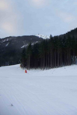 zwieselalm, 29. nov. 08 002.jpg