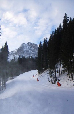 zwieselalm, 29. nov. 08 003.jpg