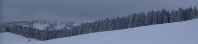 postalm 27. dez. 08 014.jpg
