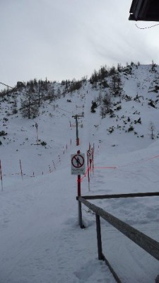 Jenner 18.Januar 2009-17.JPG