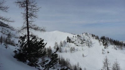 Jenner 18.Januar 2009-20.JPG
