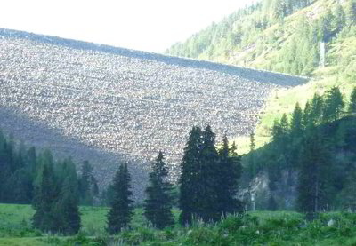 kaunertaler gletscher 021.jpg