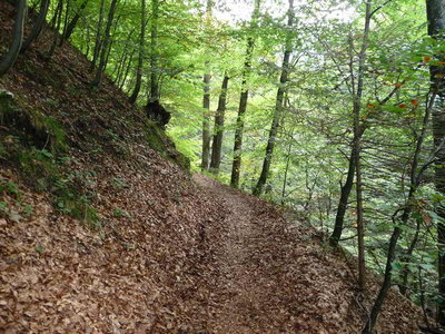 Untersberg 26.September 2009-25.JPG