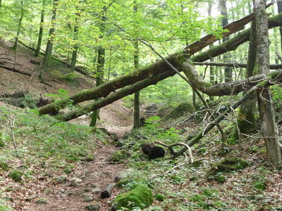 Untersberg 26.September 2009-27.JPG