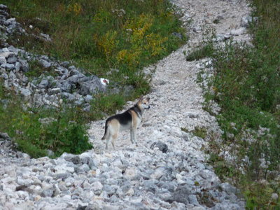 Untersberg 26.September 2009-81.JPG