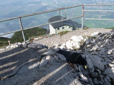 Untersberg 26.September 2009-122.JPG