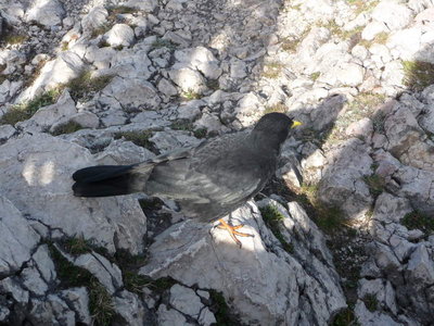 Untersberg 26.September 2009-123.JPG