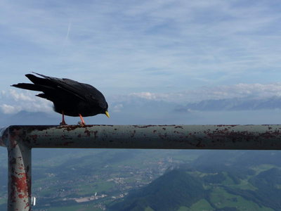 Untersberg 26.September 2009-124.JPG