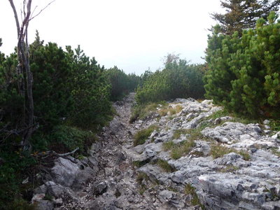 Untersberg 26.September 2009-180.JPG