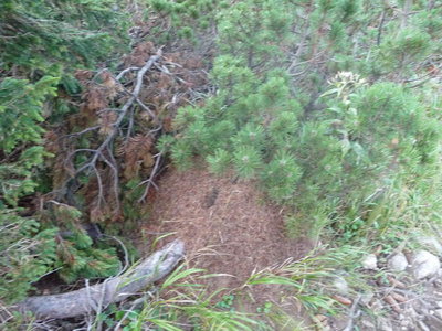 Untersberg 26.September 2009-185.JPG