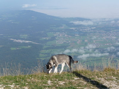 Untersberg 27.September 2009-147.JPG