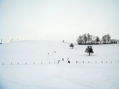 DSC01085.jpg