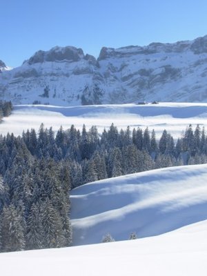 Kronberg_Pulverschnee07.JPG