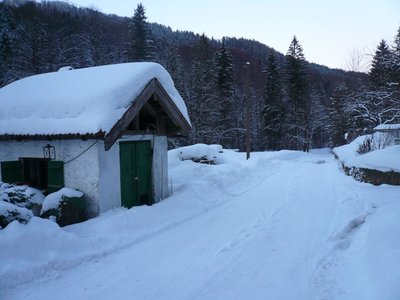 P1050259-Straße zurück zur Talstation-k.jpg