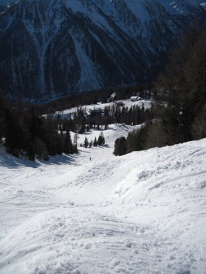 IMG_1929.jpg