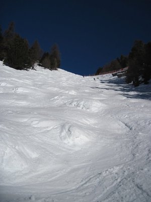 IMG_1930.jpg