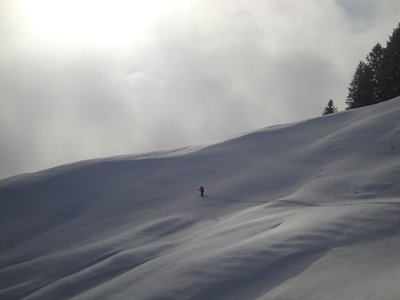 Krummenau-Wolzenalp14.JPG