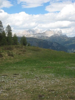 IMG_3140.jpg